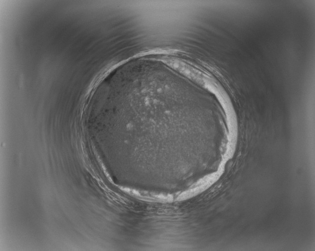 X0000052570337200507221508