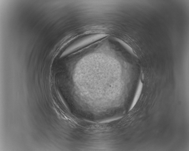 X0000052570338200507221508