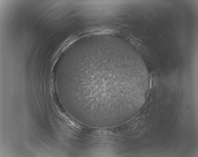 X0000052570339200507221508