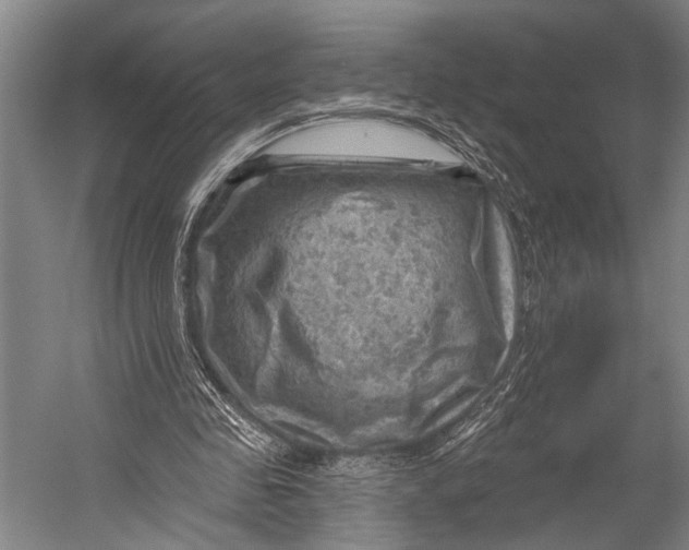 X0000052570341200507221508