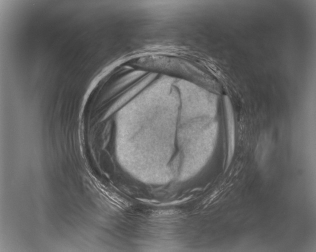 X0000052570342200507221508