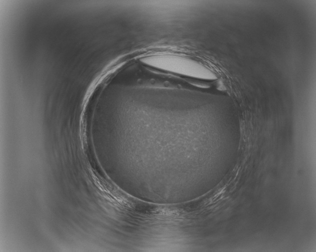 X0000052570343200507221508