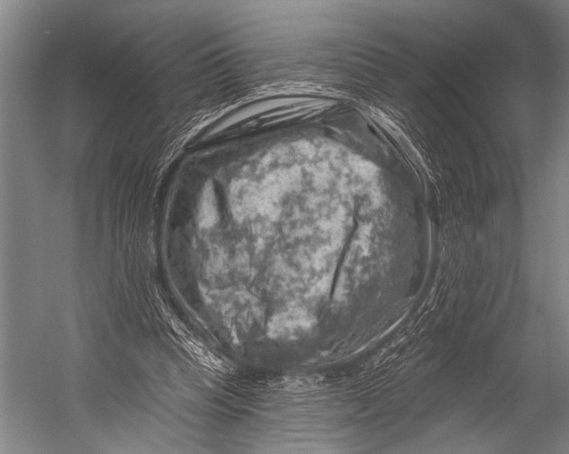 X0000052570345200507221508