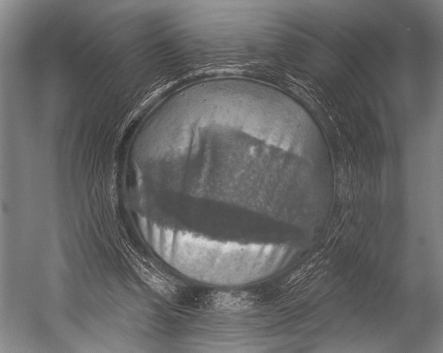 X0000052570346200507221508