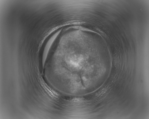 X0000052570350200507221508