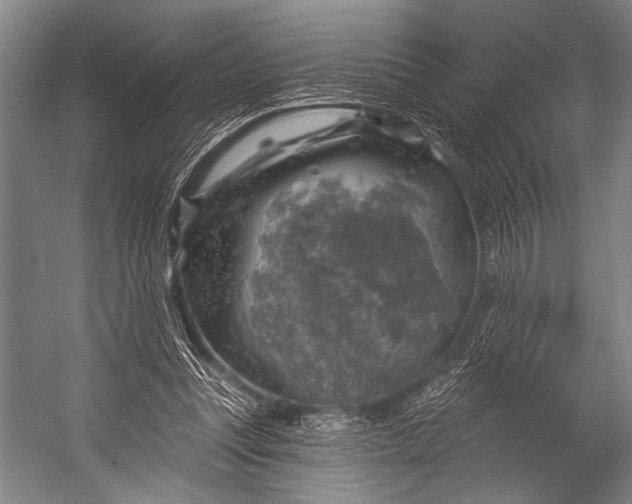 X0000052570351200507221508