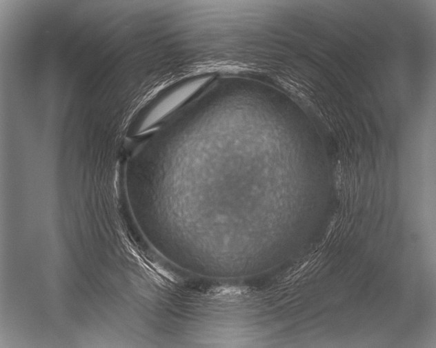 X0000052570352200507221508