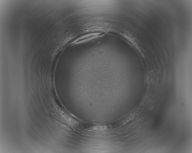 X0000052570353200507221508