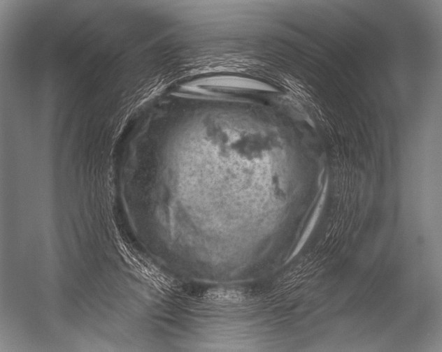 X0000052570354200507221508