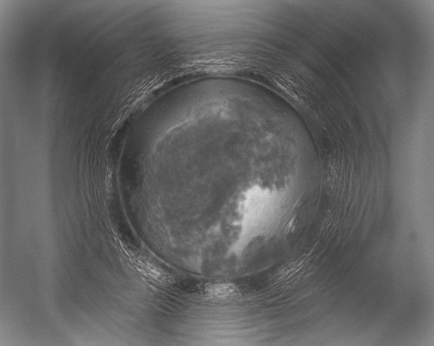 X0000052570355200507221508