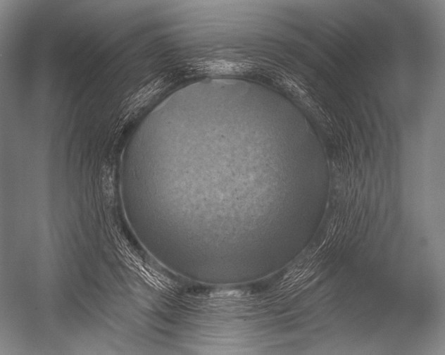 X0000052570357200507221508