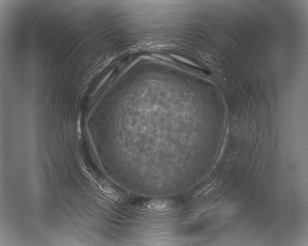 X0000052570358200507221508