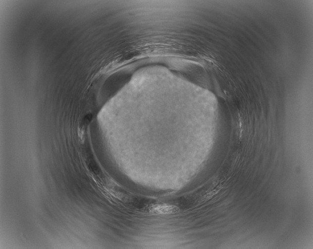 X0000052570360200507221508