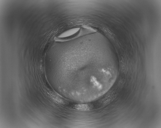 X0000052570361200507221508