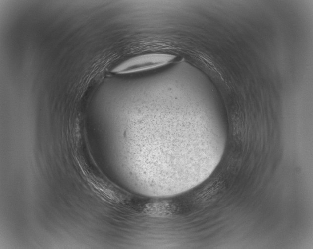 X0000052570362200507221508