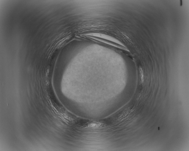 X0000052570364200507221508