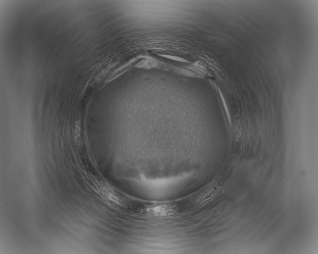 X0000052570365200507221508