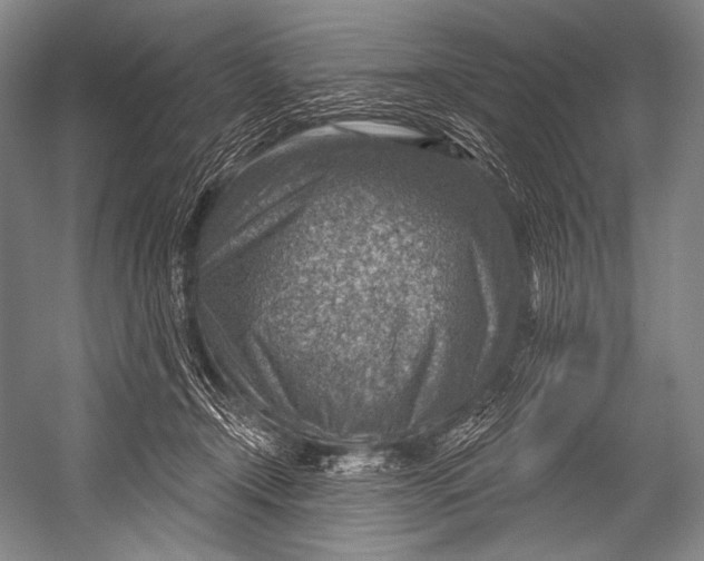 X0000052570366200507221508