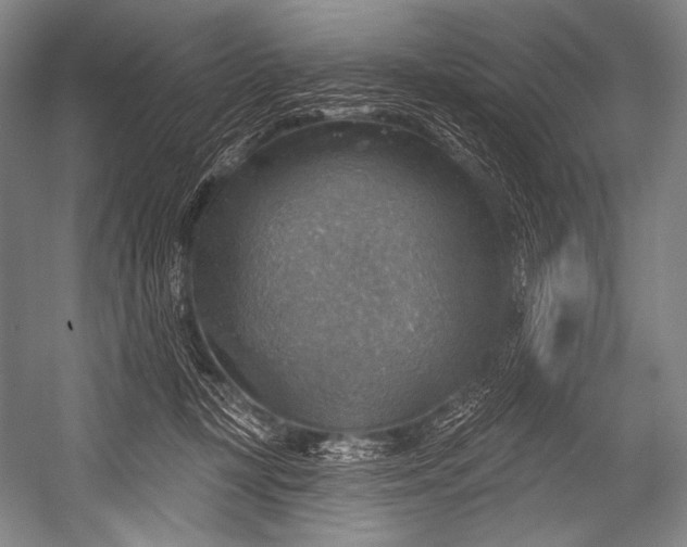 X0000052570367200507221508