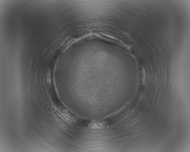 X0000052570368200507221508