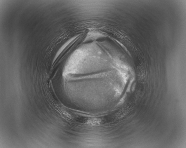 X0000052570369200507221508