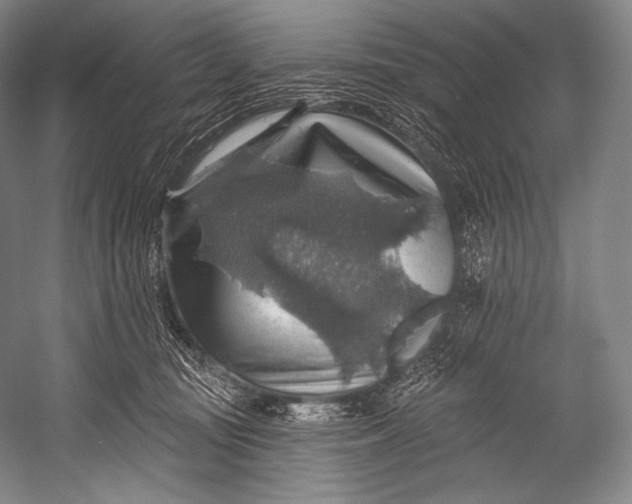 X0000052570371200507221508