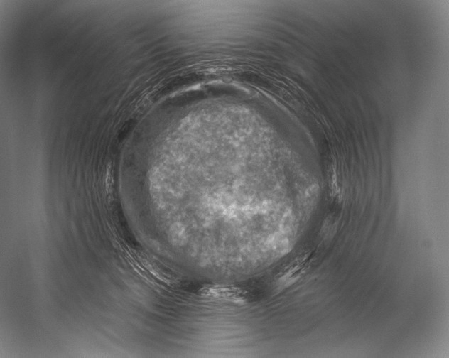 X0000052570372200507221508