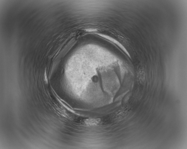 X0000052570373200507221508