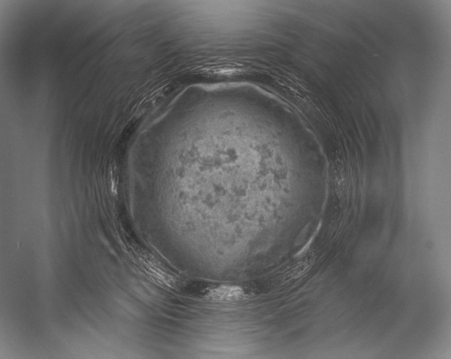 X0000052570374200507221508