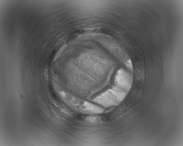 X0000052570375200507221508