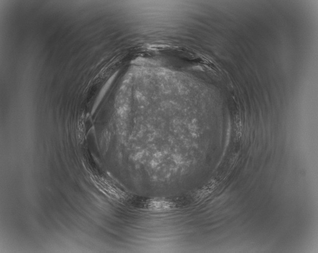 X0000052570376200507221508