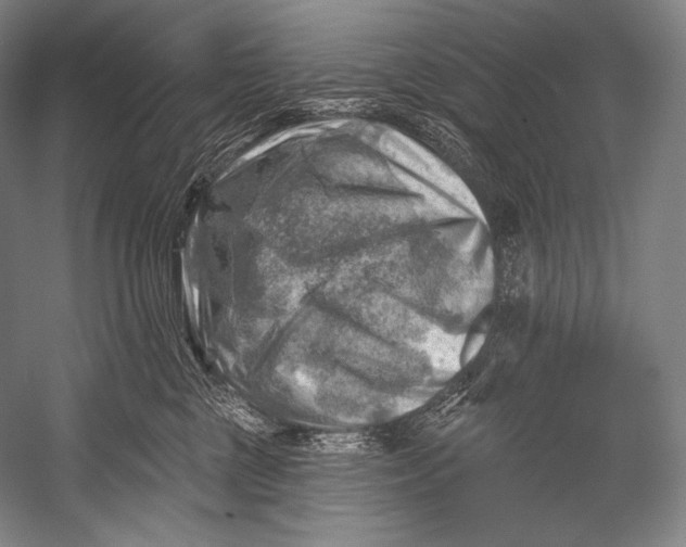 X0000052570377200507221508