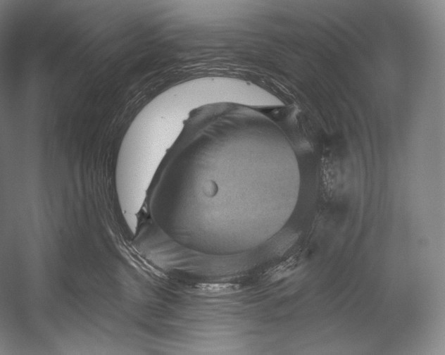 X0000052570380200507221508