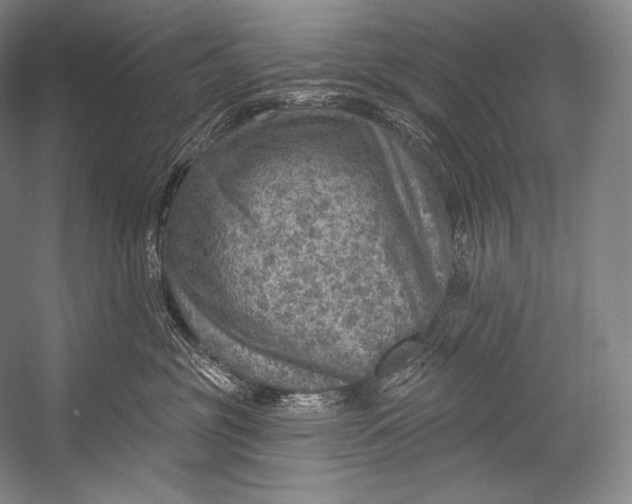 X0000052570381200507221508