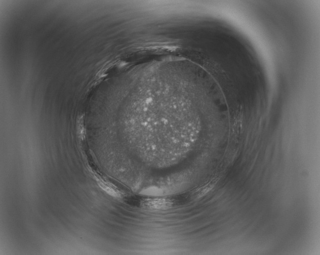 X0000052570383200507221508