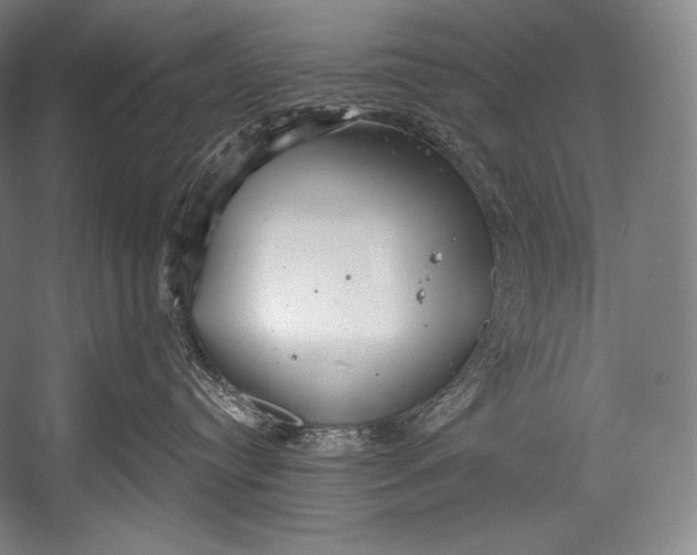 X0000052570384200507221508