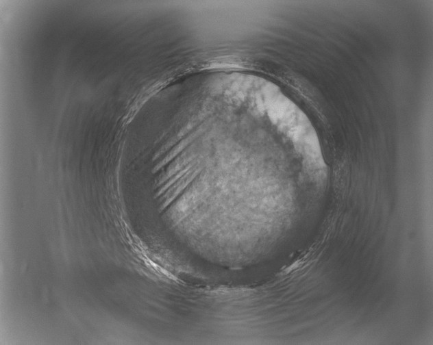 X0000052570385200507221508