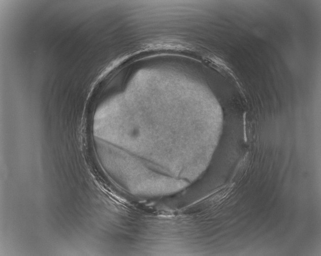 X0000052570388200507221507