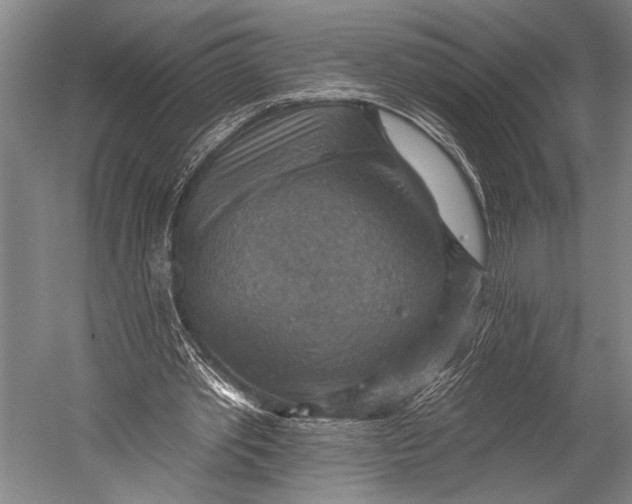 X0000052570389200507221507