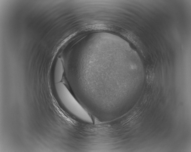 X0000052570390200507221507