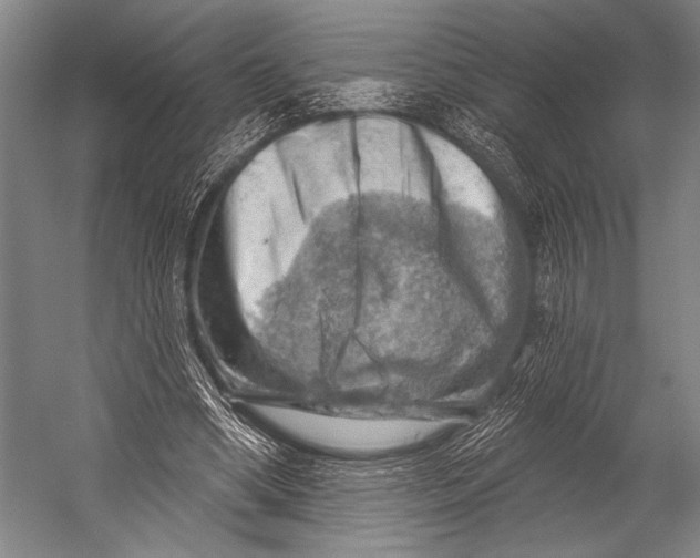 X0000052570394200507221507