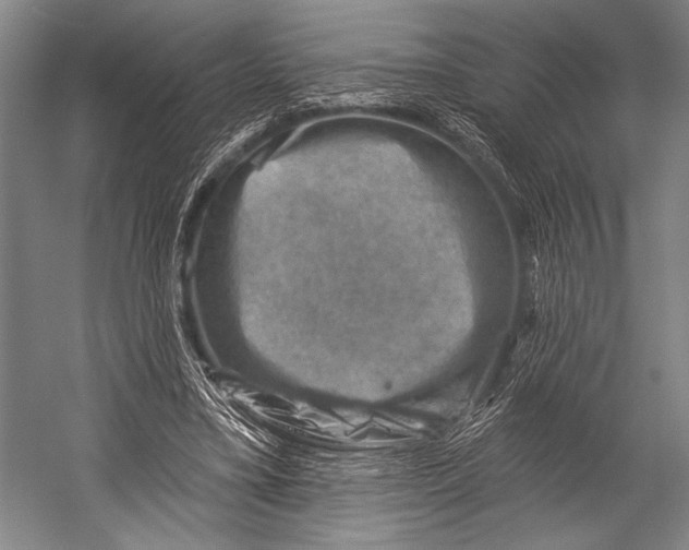 X0000052570395200507221507