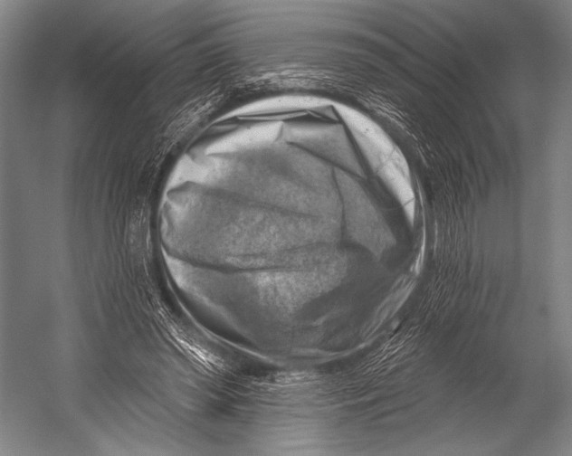 X0000052570398200507221507