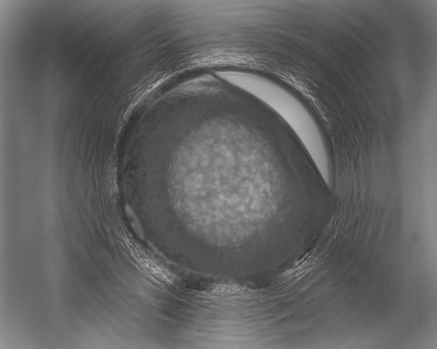 X0000052570399200507221507