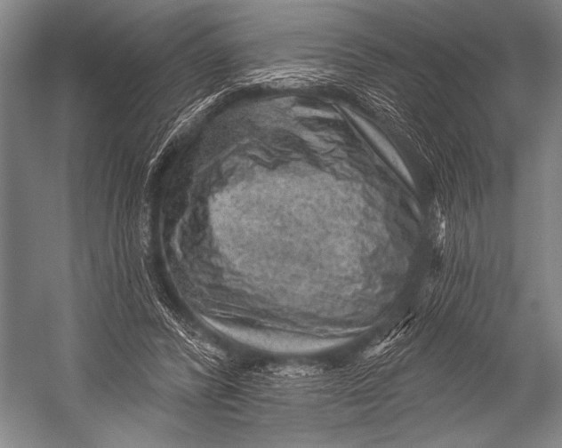 X0000052570400200507221507