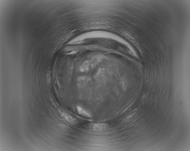 X0000052570401200507221507