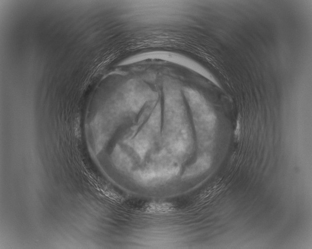 X0000052570403200507221507