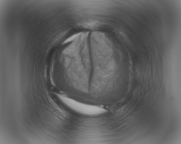 X0000052570404200507221507