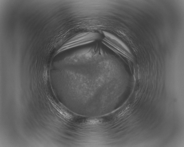 X0000052570405200507221507