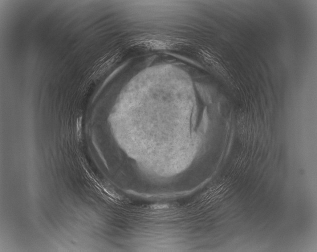 X0000052570406200507221507